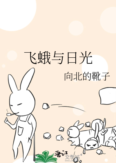 飞蛾与日光