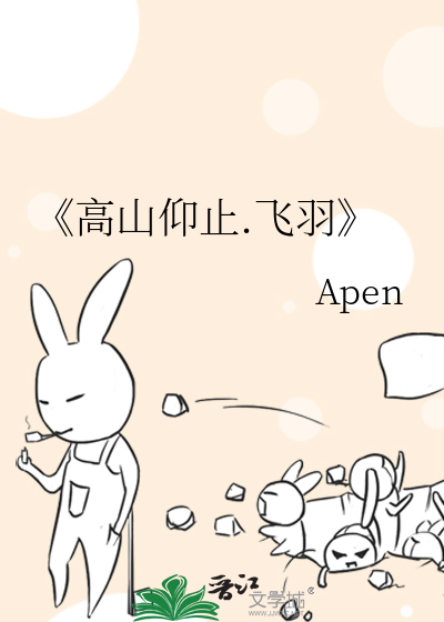《高山仰止.飞羽》