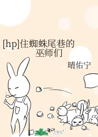 [hp]住蜘蛛尾巷的巫师们