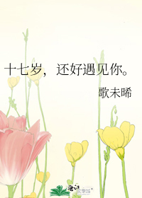 十七岁，还好遇见你。