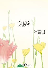 闪婚