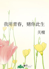 我用青春，赌你此生