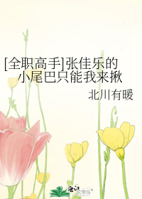 [全职高手]张佳乐的小尾巴只能我来揪