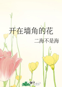 开在墙角的花