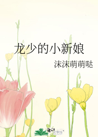 龙少的小新娘