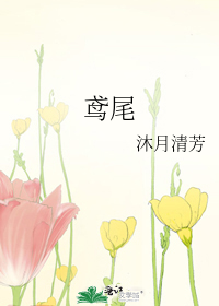 鸢尾