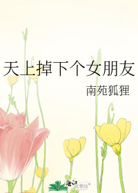天上掉下个女朋友