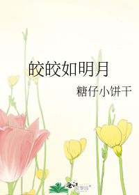 皎皎如明月