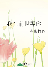 我在前世等你