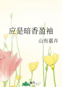 应是暗香盈袖