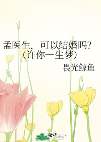 孟医生，可以结婚吗？（许你一生梦）