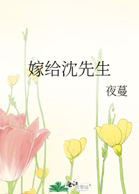 嫁给沈先生