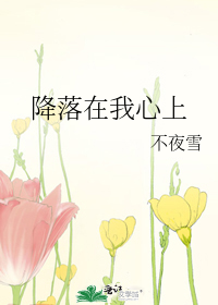 降落在我心上