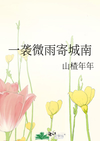 一袭微雨寄城南