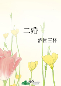 二婚