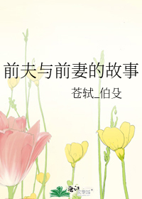 前夫与前妻的故事