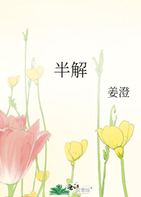 半解