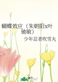 蝴蝶效应（朱朝阳x叶驰敏）