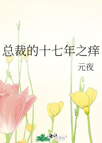 总裁的十七年之痒
