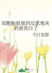 双胞胎崽崽的反派炮灰奶爸洗白了