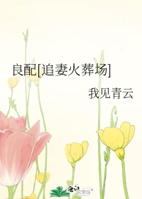 良配[追妻火葬场]