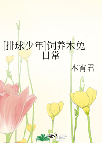 [排球少年]饲养木兔日常