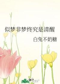 似梦非梦终究是清醒
