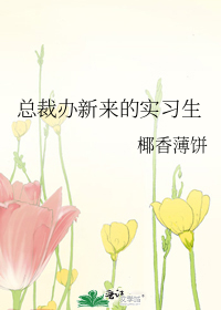 总裁办新来的实习生