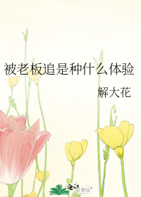 被老板追是种什么体验