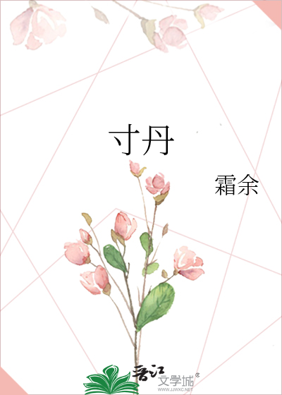 寸丹