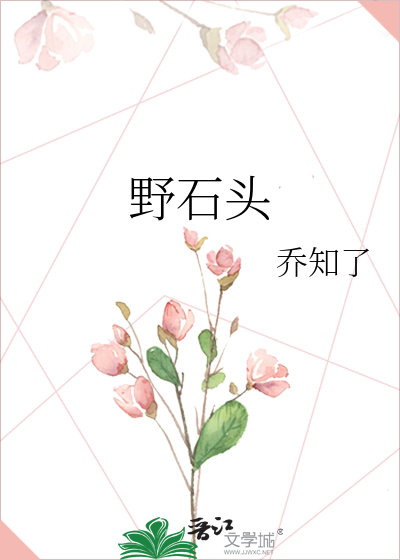 野石头