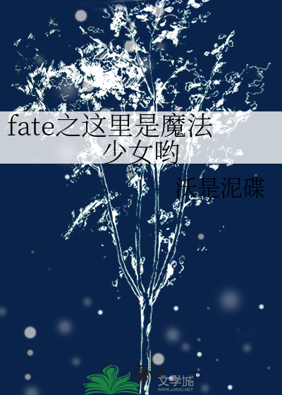 fate之这里是魔法少女哟