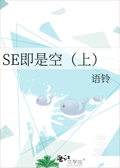 SE即是空（上）