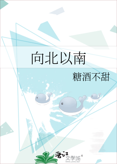 向北以南