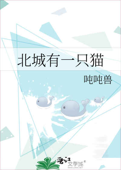 北城有一只猫