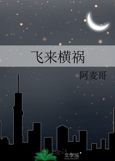飞来横祸