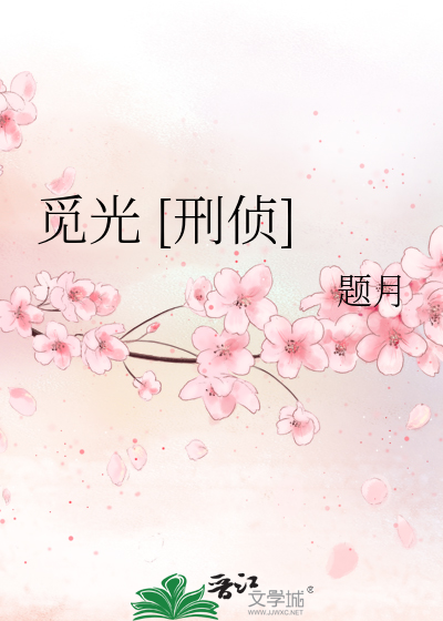 觅光 [刑侦]