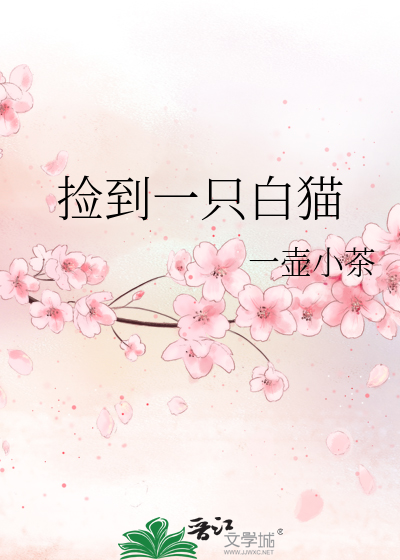 捡到一只白猫