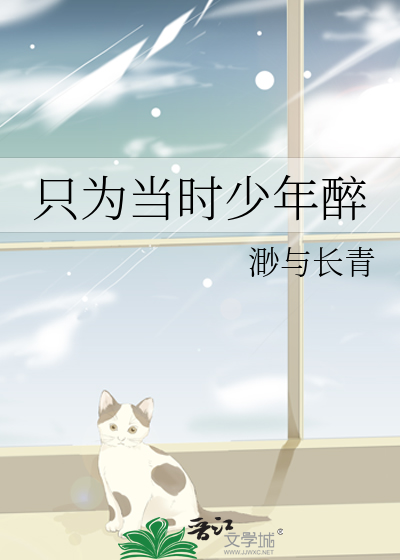只为当时少年醉