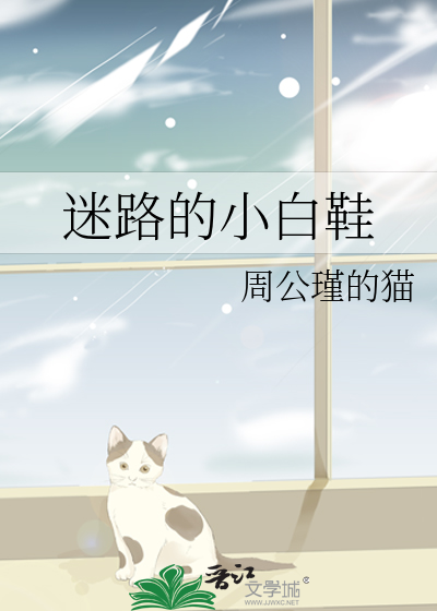迷路的小白鞋