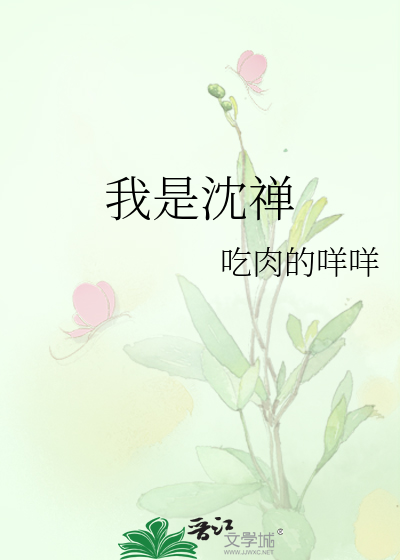 我是沈禅