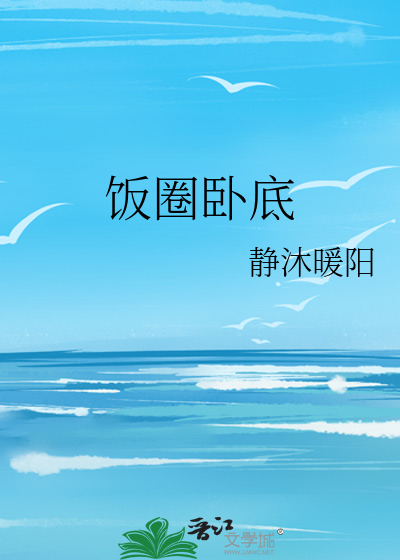 饭圈卧底
