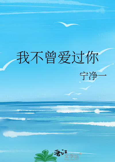我不曾爱过你