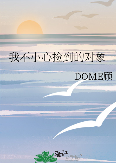 我不小心捡到的对象