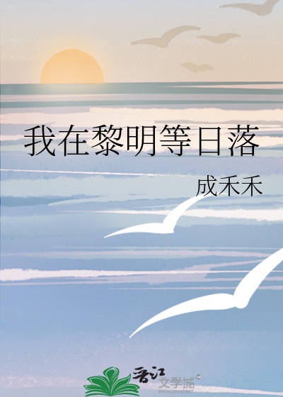 我在黎明等日落