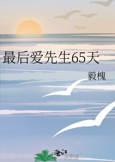 最后爱先生65天