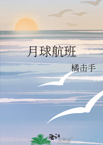 月球航班