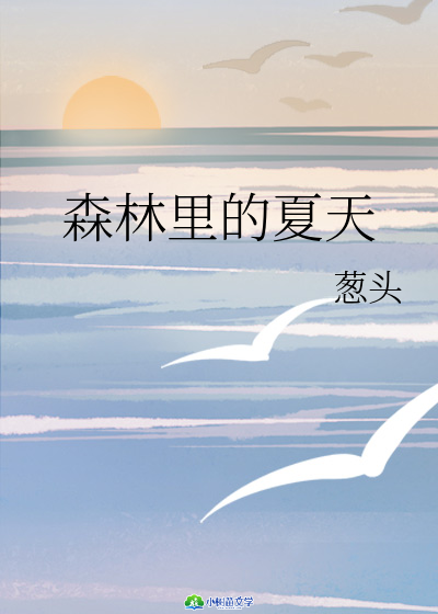 森林里的夏天