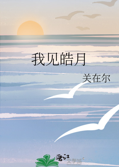 我见皓月
