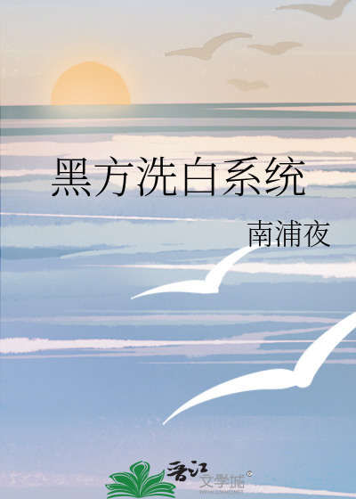 黑方洗白系统
